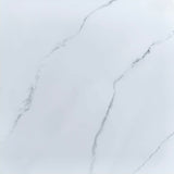 Ceramic ART Amelia Carara_grey Glossy 61*61 cm