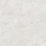 Porcelain Cleopatra Arenisca Grey Glossy 120x120 cm 8 mm
