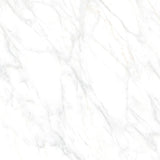 Porcelain Cleopatra Carrara White 120x120 cm 8 mm