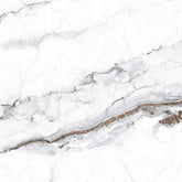 سيراميك ارت جلوبال جراى لامع 61*61 سم