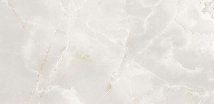 Beroia Porcelain Jordanian Glossy Grey 120x60 cm