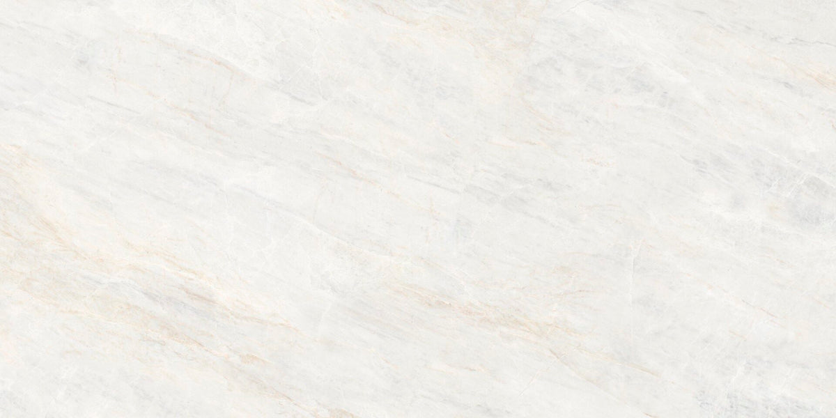 Porcelain Cleopatra Persia Grey glossy 120x240 cm 8 mm