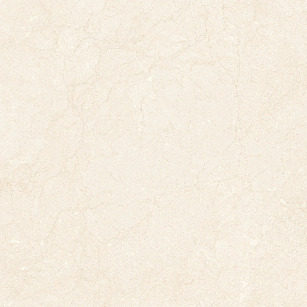 Ceramic 60/49 Glossy 61x61 cm From Granito