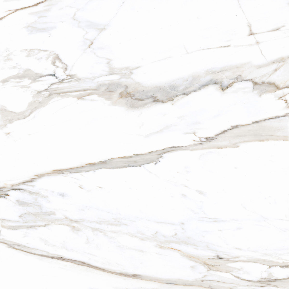 Ceramic Castel White Glossy 60x60 cm from Cleopatra