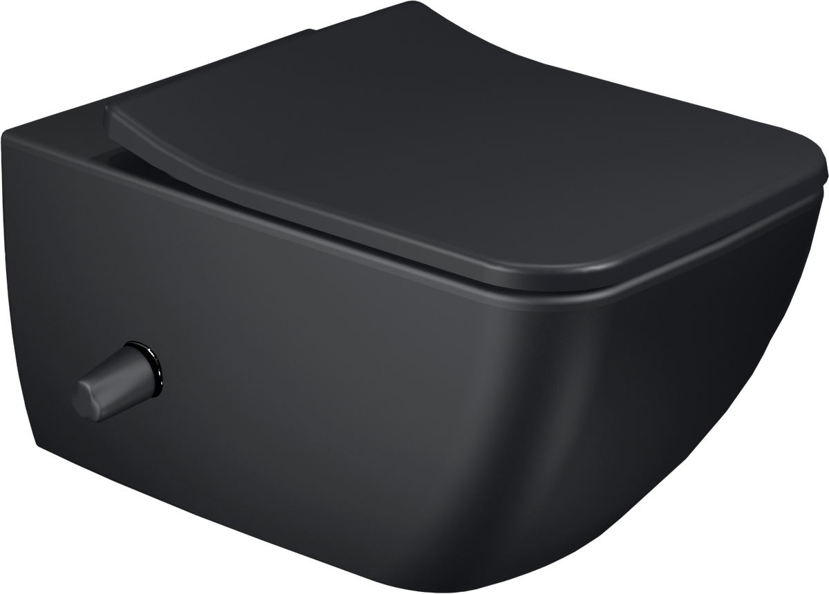 Realmes wall-hung toilet with shower, Villeroy & Boch VENTICELLO, Black
