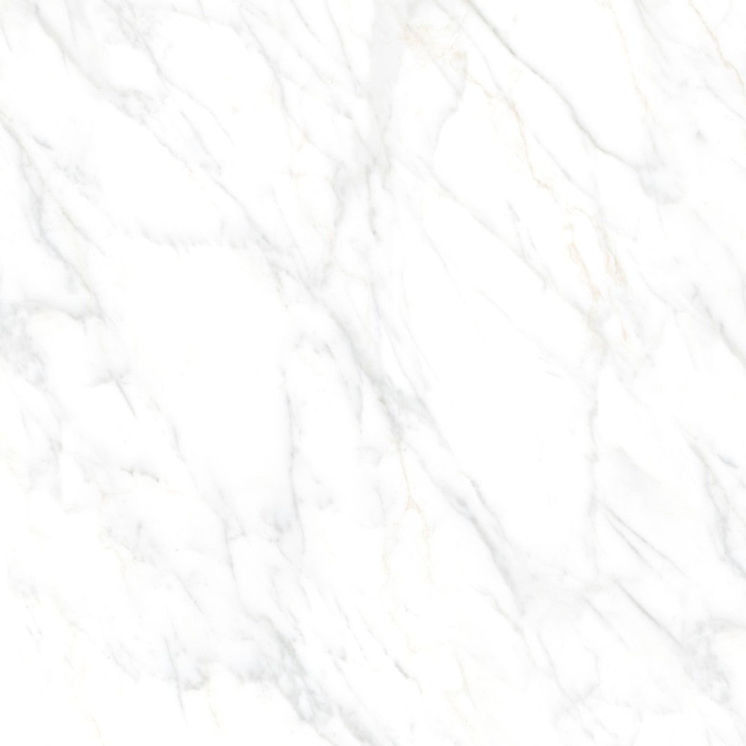Porcelain Cleopatra Carrara White 120x120 cm 8 mm