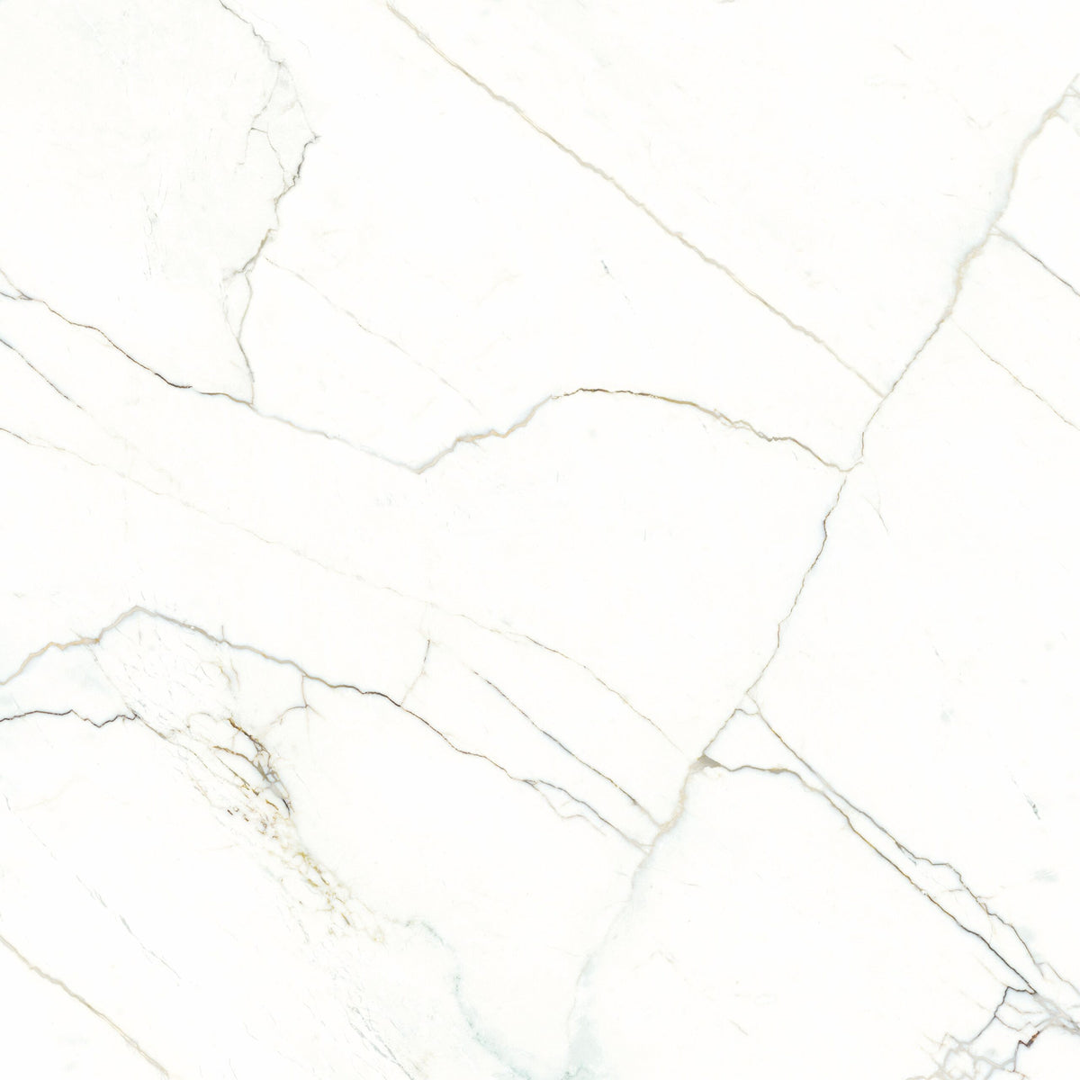 Ceramic Catalina-White Glossy 60x60 cm from Cleopatra