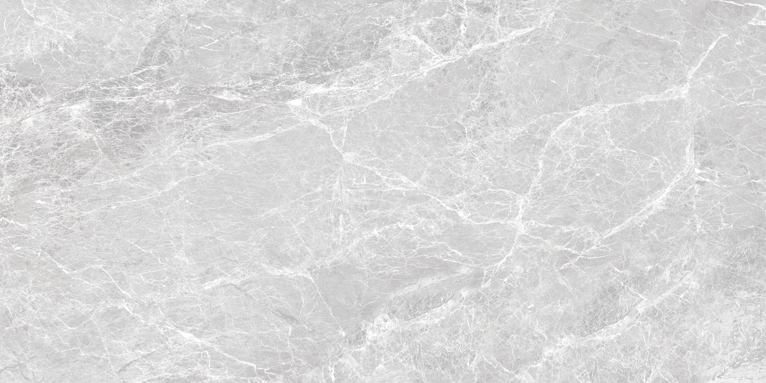 Porcelain Cosmos Grey Glossy 120x60 cm From Gemma