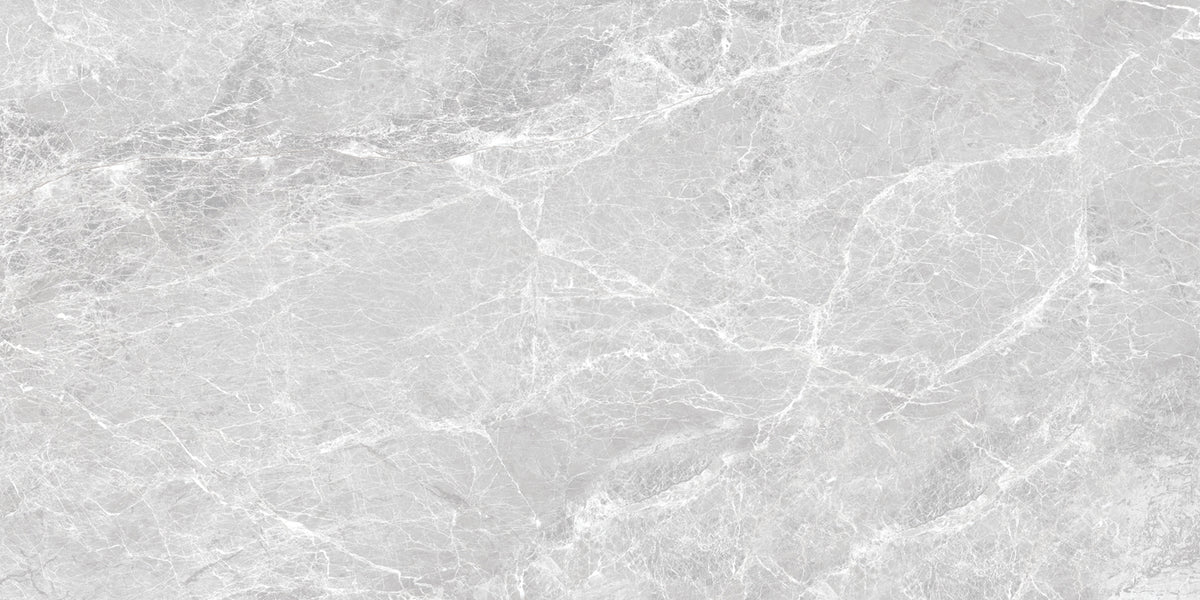 Porcelain Cosmos Grey Glossy 120x60 cm From Gemma