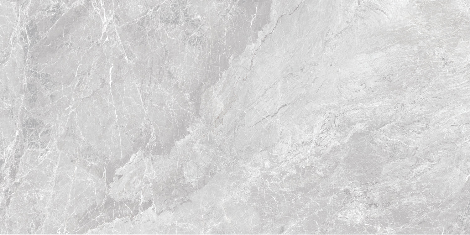 Porcelain Cosmos Grey Glossy 120x60 cm From Gemma