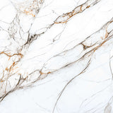 Ceramic Art Nablusgrey Glossy 61x61 cm