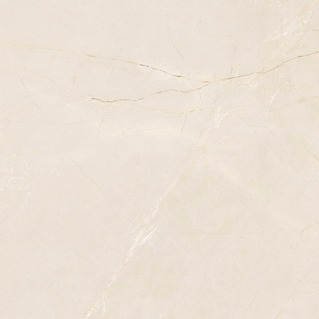 Ceramic Paloma Glossy 60x60 cm from Cleopatra