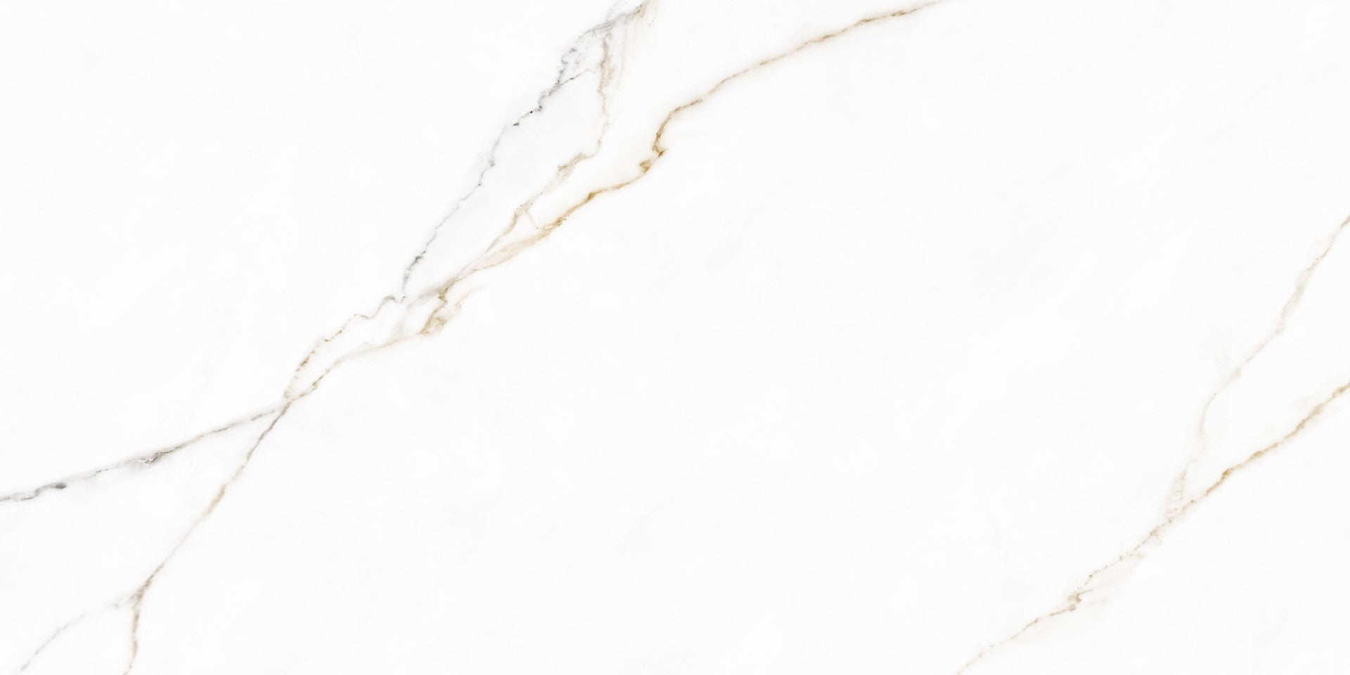 Ceramic Paloma 30x60 cm Wall Ceramic From Cleopatra