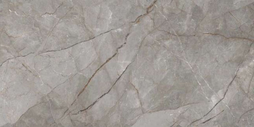 بورسلين كالى تركى  موديل سيلفر روتس 160*320 سم لامع