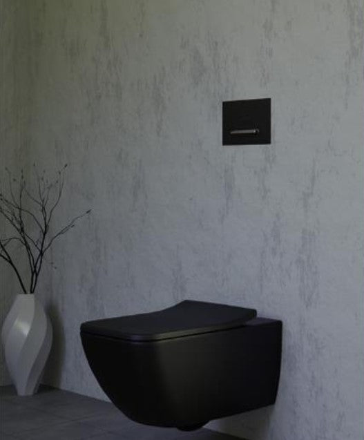 Realmes wall-hung toilet with shower, Villeroy & Boch VENTICELLO, Black