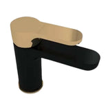 Sarrdesign Basin Mixer Tara Black x Gold