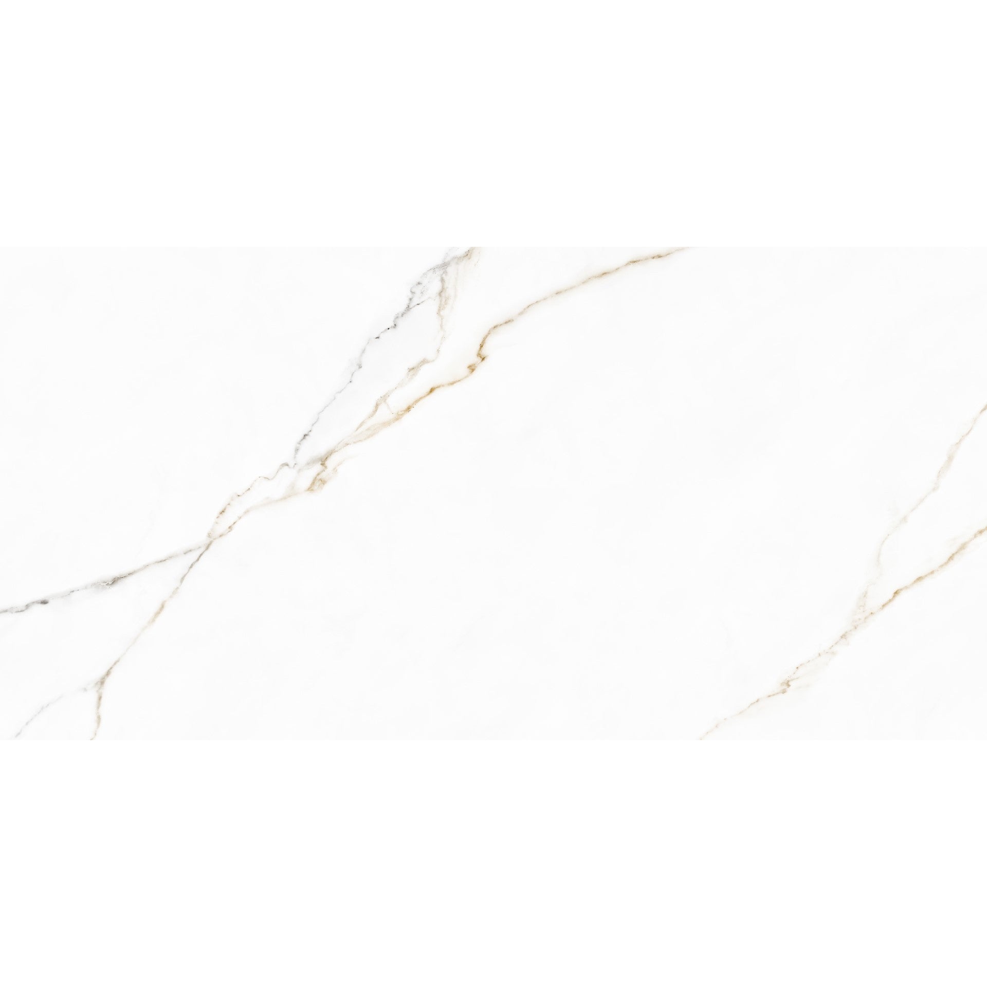 Ceramic Paloma 30x60 cm Wall Ceramic From Cleopatra